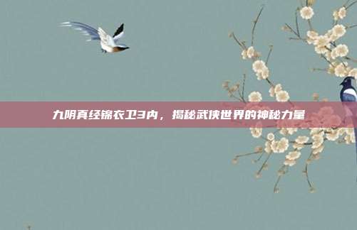 九阴真经锦衣卫3内,揭秘武侠世界的神秘力量