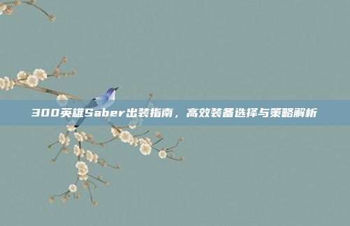 300英雄Saber出装指南,高效装备选择与策略解析