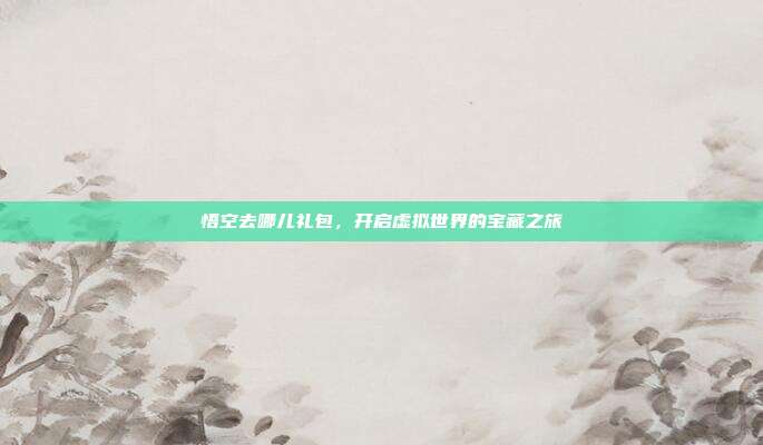 悟空去哪儿礼包,开启虚拟世界的宝藏之旅