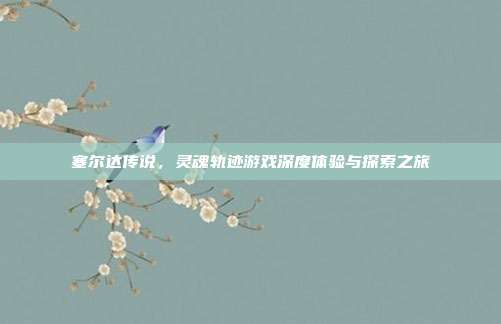 塞尔达传说,灵魂轨迹游戏深度体验与探索之旅