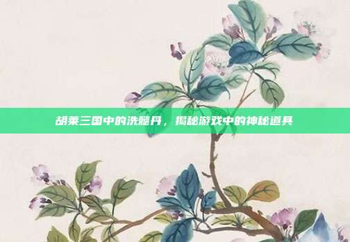 胡莱三国中的洗髓丹,揭秘游戏中的神秘道具
