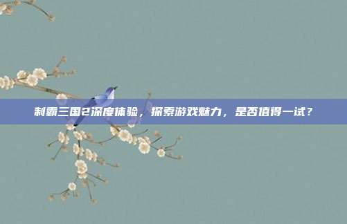 制霸三国2深度体验,探索游戏魅力,是否值得一试?