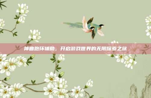 神曲跑环辅助,开启游戏世界的无限探索之旅
