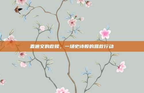 麦迪文的救赎,一场史诗般的营救行动