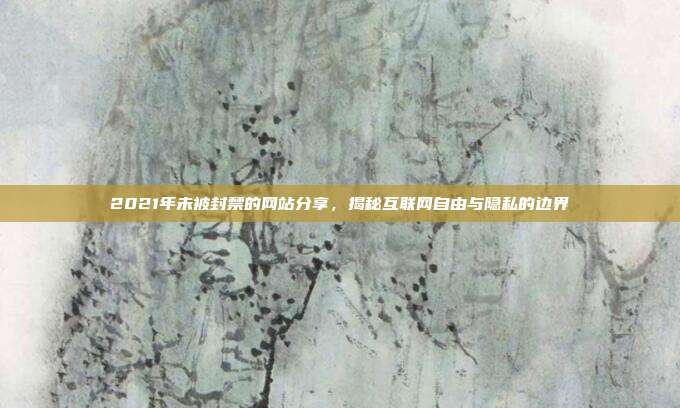 2021年未被封禁的网站分享,揭秘互联网自由与隐私的边界