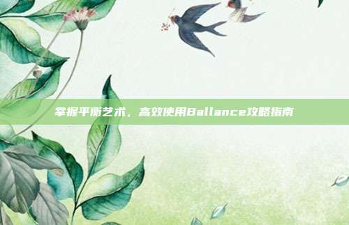 掌握平衡艺术,高效使用Ballance攻略指南
