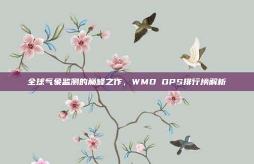 全球气象监测的巅峰之作,WMO DPS排行榜解析