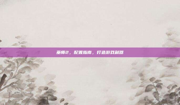 巫师2,配置指南,打造游戏利器