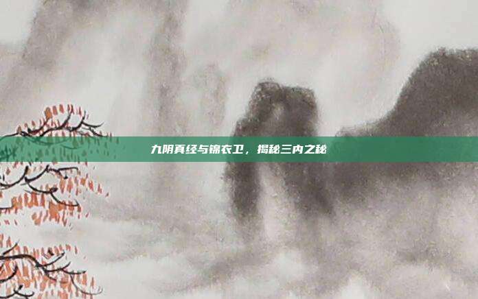 九阴真经与锦衣卫,揭秘三内之秘