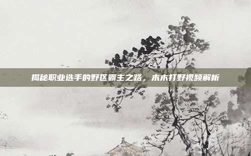 揭秘职业选手的野区霸主之路,木木打野视频解析