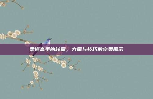 柔道高手的较量,力量与技巧的完美展示