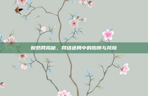 贼奶网揭秘,网络迷局中的陷阱与风险