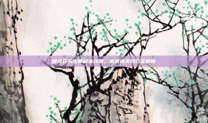 御龙在天出师副本攻略,高效通关技巧全解析