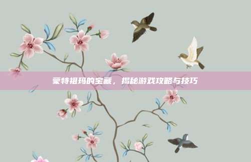 蒙特祖玛的宝藏,揭秘游戏攻略与技巧