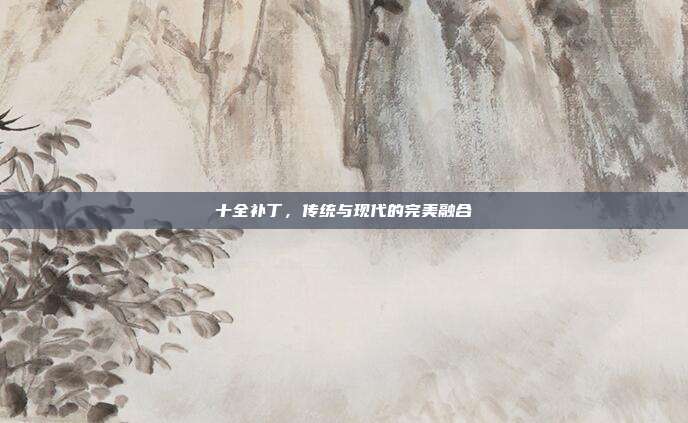 十全补丁,传统与现代的完美融合