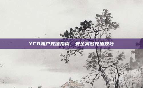 YC8账户充值指南,安全高效充值技巧