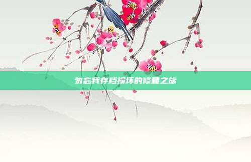 勿忘我存档损坏的修复之旅