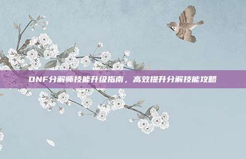 DNF分解师技能升级指南,高效提升分解技能攻略