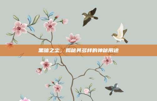 黑暗之尘,揭秘其多样的神秘用途