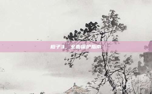 橙子3,全面保护指南
