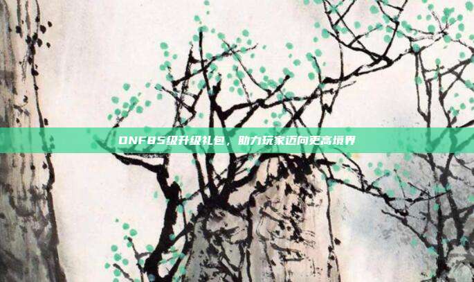 DNF85级升级礼包,助力玩家迈向更高境界