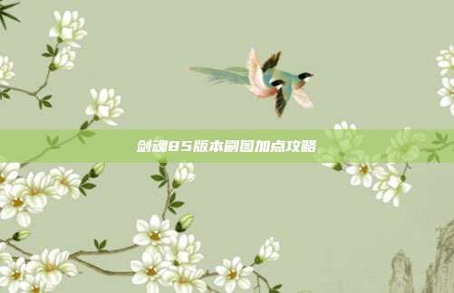剑魂85版本刷图加点攻略