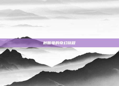 树苗龟的奇幻旅程