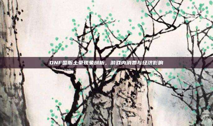 DNF国服土豪现象剖析,游戏内消费与经济影响