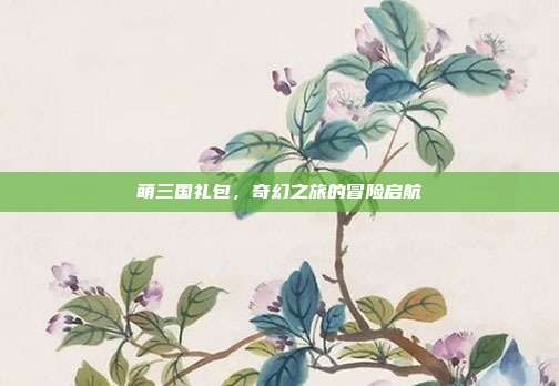 萌三国礼包,奇幻之旅的冒险启航