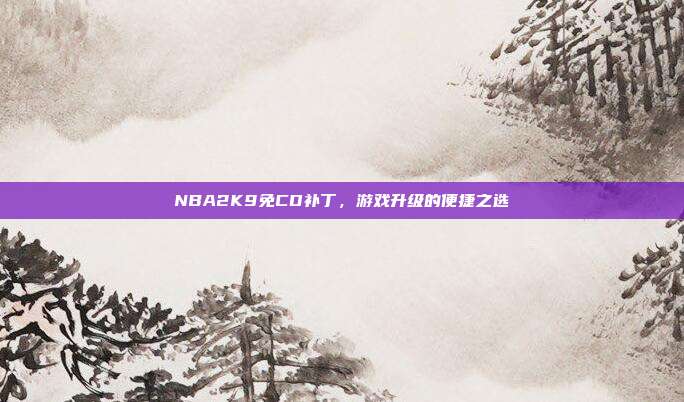 NBA2K9免CD补丁,游戏升级的便捷之选