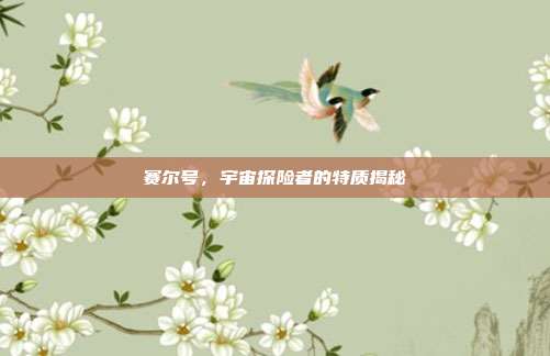 赛尔号,宇宙探险者的特质揭秘