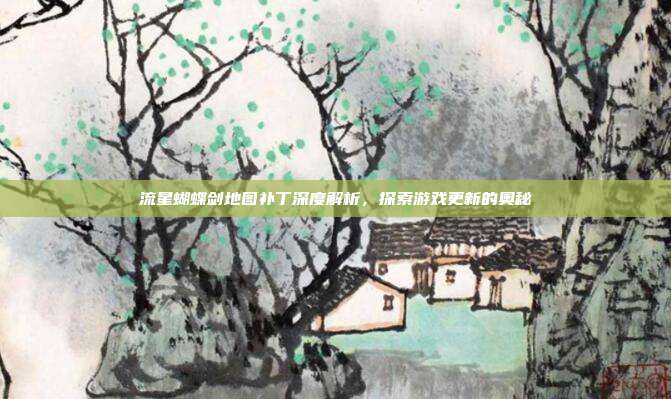流星蝴蝶剑地图补丁深度解析,探索游戏更新的奥秘