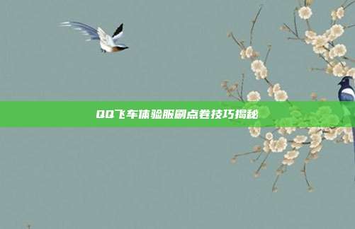QQ飞车体验服刷点卷技巧揭秘