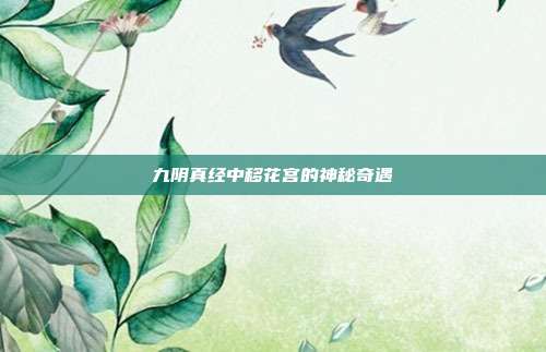 九阴真经中移花宫的神秘奇遇