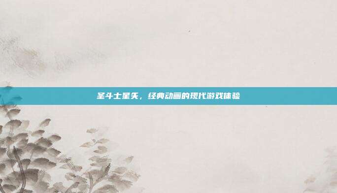 圣斗士星矢,经典动画的现代游戏体验