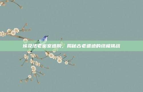 埃及法老密室逃脱,揭秘古老遗迹的终极挑战