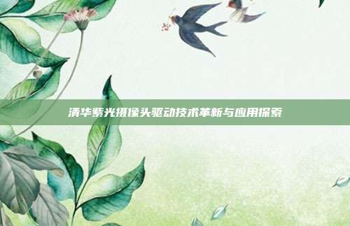 清华紫光摄像头驱动技术革新与应用探索