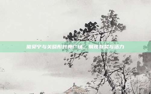 撒贝宁与关晓彤共舞广场,展现默契与活力