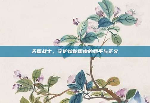 天国战士,守护神秘国度的和平与正义