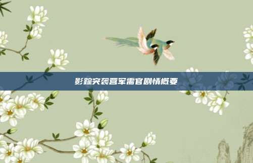 影踪突袭营军需官剧情概要