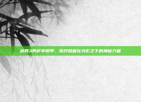 剑网3阿萨辛铜甲,揭开隐藏在光影之下的神秘力量