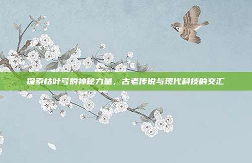 探索枯叶弓的神秘力量,古老传说与现代科技的交汇