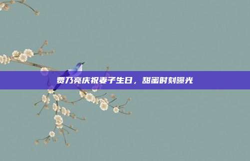 贾乃亮庆祝妻子生日,甜蜜时刻曝光