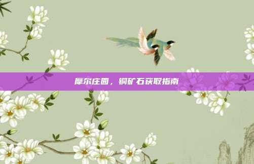 摩尔庄园,铜矿石获取指南