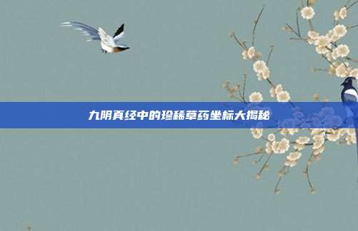 九阴真经中的珍稀草药坐标大揭秘