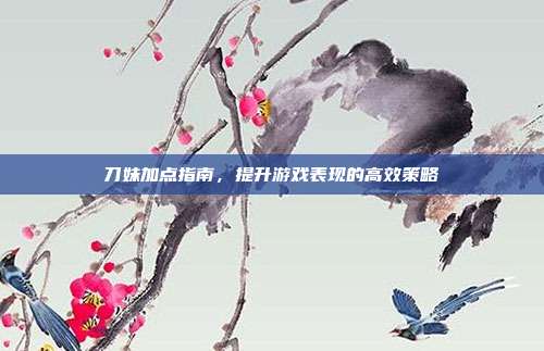 刀妹加点指南,提升游戏表现的高效策略