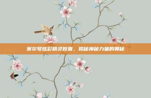 赛尔号炫彩精灵胶囊,揭秘神秘力量的奥秘