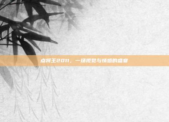 点将王2011,一场视觉与情感的盛宴