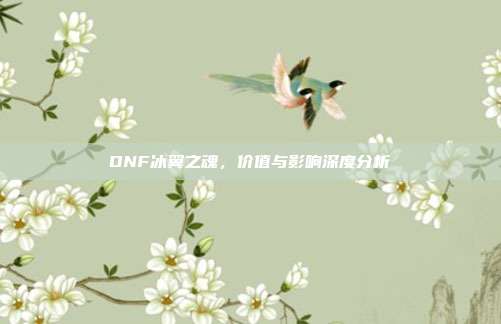 DNF冰翼之魂,价值与影响深度分析