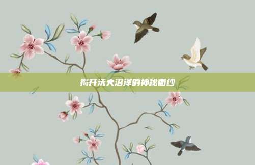 揭开沃夫沼泽的神秘面纱